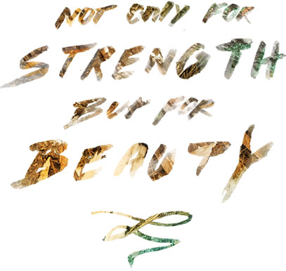 Not Only for Strength but for Beauty